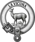La Vicuña — escudo